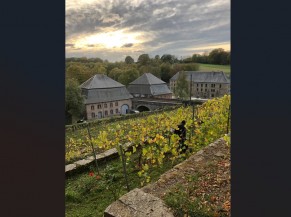 Vue depuis les plateaux de vignes vers le chai