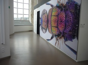 A corridor inviting visitors to enter a cube and walk through the exhibition, partly in the dark