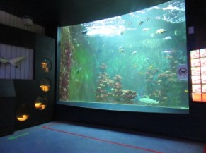 Aquarium géant
