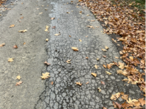 Roads in poor condition shared with motorists