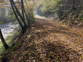 Manque de contraste et sécurisation entre talus et chemin