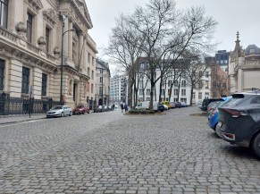 Rue du bois sauvage : rue en pente et revêtement en pavé