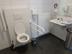 Présence d'un sanitaire adapté avec lavabo accessible