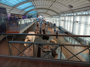galerie d'expo animaux
