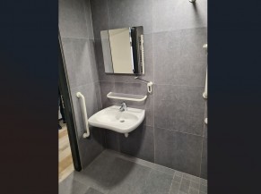 Salle de douche adaptée (lavabo)