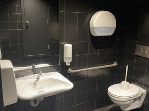 Toilette PMR : lavabo