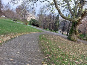 Pente dans le parc Léopold