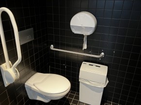 Toilette adaptée (avec modification barre d'appui)