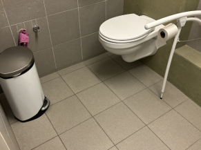 Adapted toilet