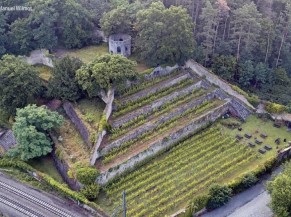 Vignes vues du ciel